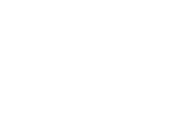 Logo Festival Summer Vibration Blanc
