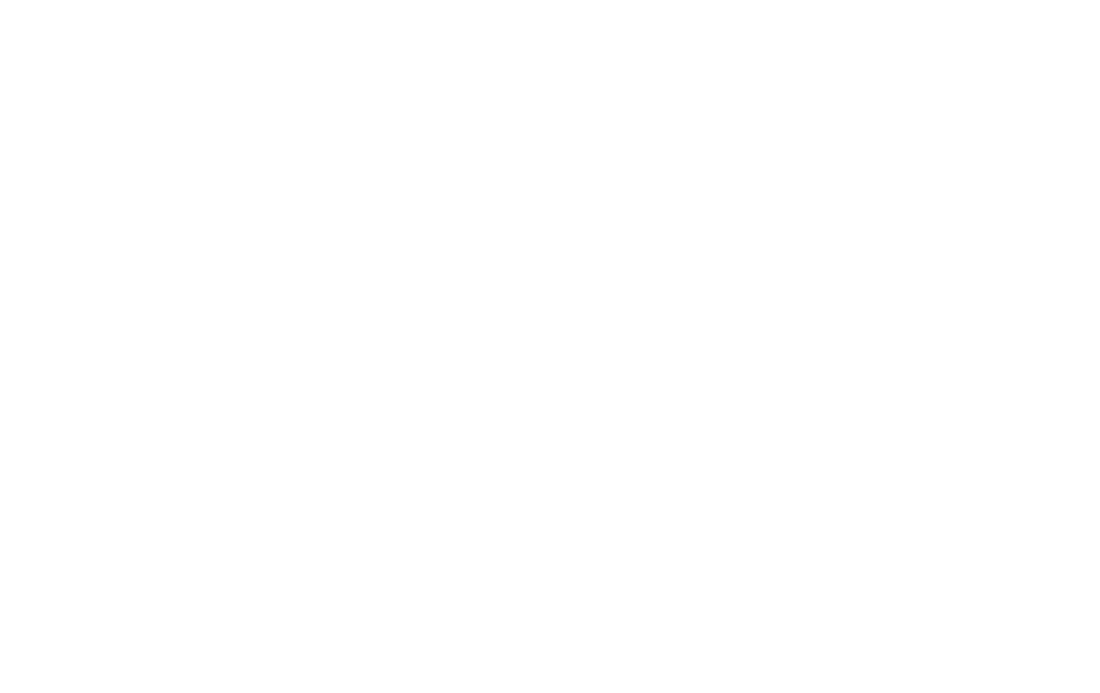 logo ticketswap (fraude et revente de billets Summer Vibration 2023)